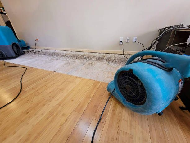 Reliable Basement Flood Cleanup contractor in Wilson, LA by Hirex Water Damage