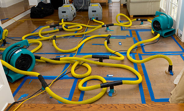 Professional Basement Flood Cleanup technician working in Wilson, LA